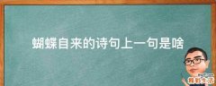 蝴蝶自来的诗句上一句是啥