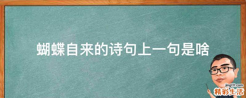 蝴蝶自来的诗句上一句是啥