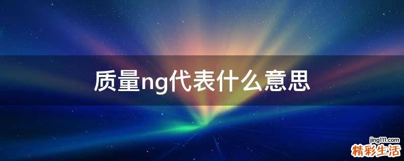 质量ng代表什么意思