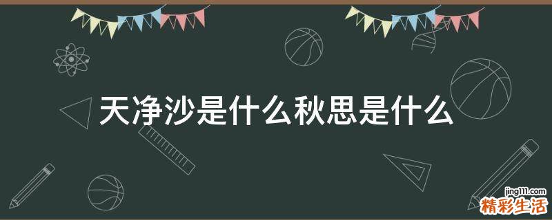 天净沙是什么秋思是什么