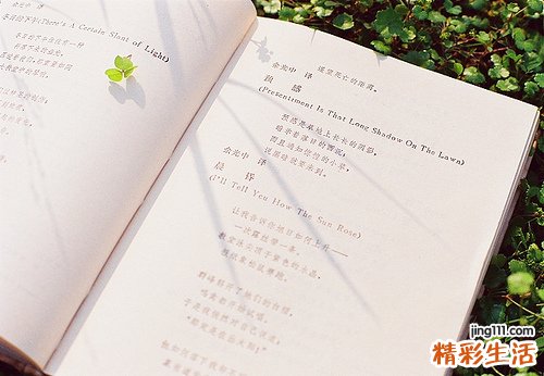 燕窝要炖多久