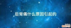 后背痛什么原因引起的
