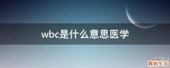 wbc是什么意思医学