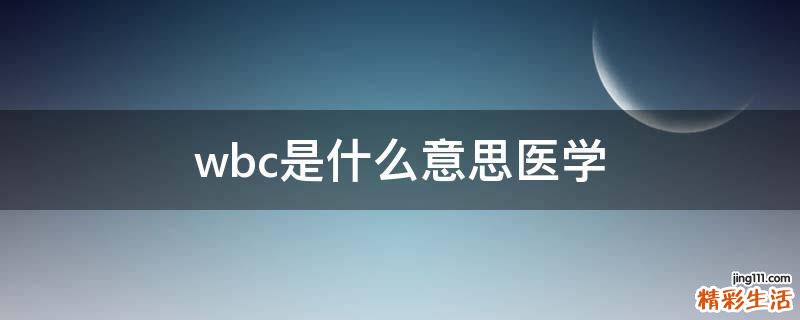 wbc是什么意思医学