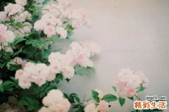 2 冬天如何防止头发静电 15招最有效