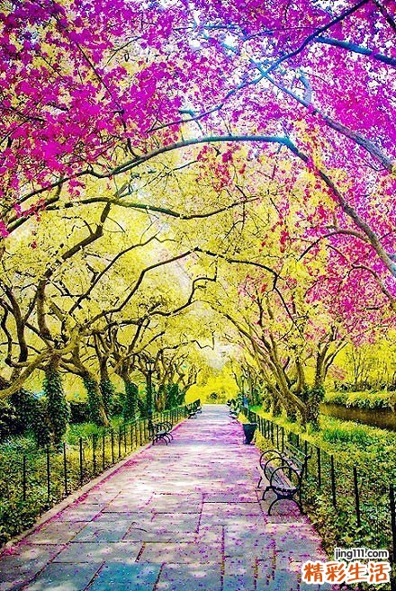 如何掌握孩子注意力_怎么掌握孩子注意力