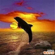 2 12月份吃什么水果