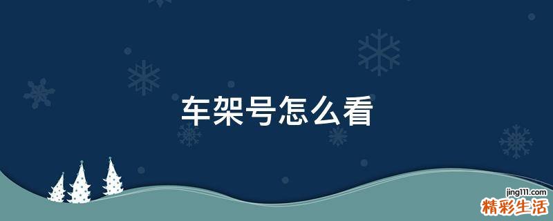 车架号怎么看