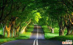 怀孕可以跳广场舞吗