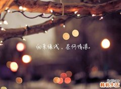 2 “睡美人”的七道汤