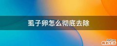 虱子卵怎么彻底去除