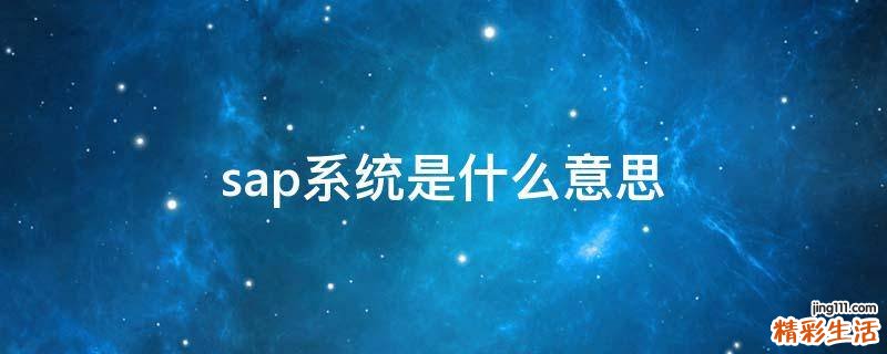 sap系统是什么意思