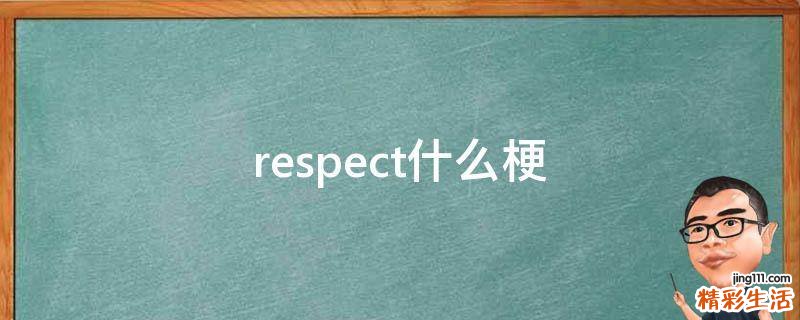 respect什么梗