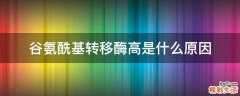 谷氨酰基转移酶高是什么原因