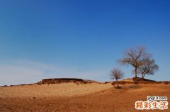 孕妇需要补充Ｂ族维生素