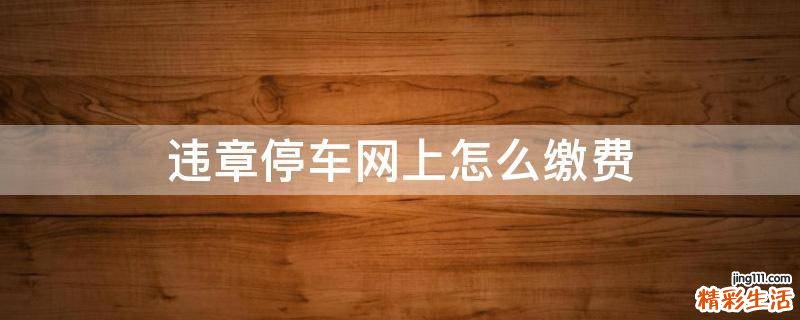 违章停车网上怎么缴费