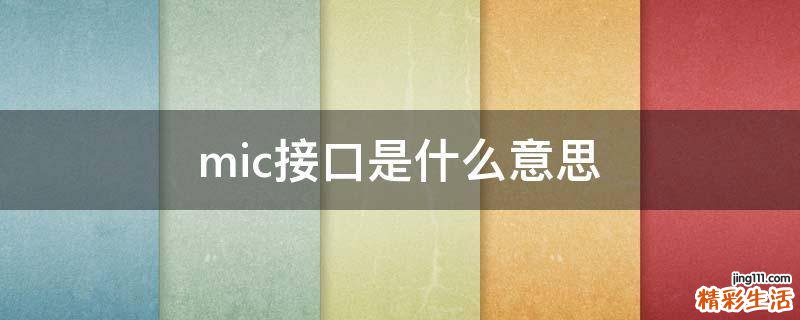 mic接口是什么意思