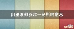 阿里嘎都够咋一马斯啥意思