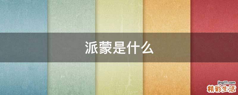 派蒙是什么