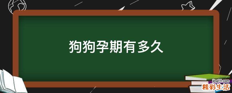狗狗孕期有多久