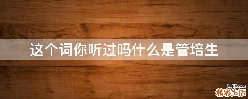 这个词你听过吗什么是管培生