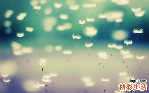 犬肠内寄生虫的防治