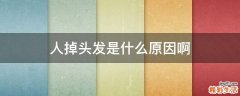 人掉头发是什么原因啊