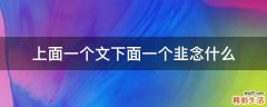 上面一个文下面一个韭念什么