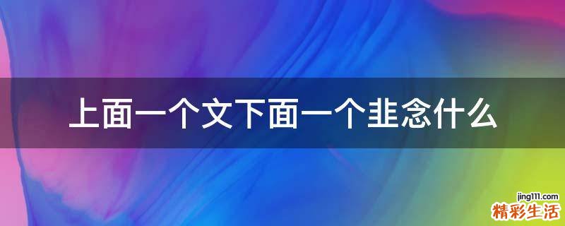 上面一个文下面一个韭念什么