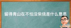 留得青山在不怕没柴烧是什么意思