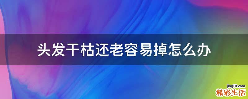 头发干枯还老容易掉怎么办