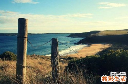 妇女带下病食疗方－茯苓车前子粥