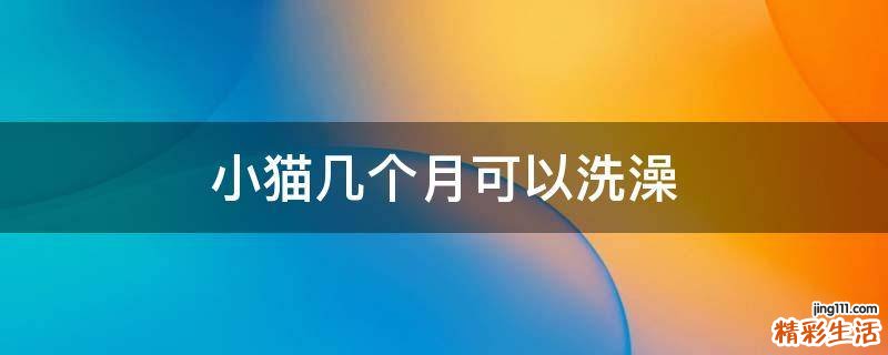 小猫几个月可以洗澡
