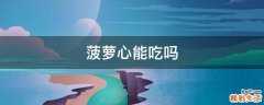 菠萝心能吃吗