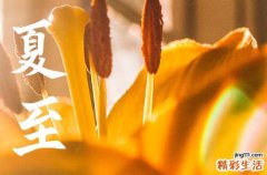 今年夏至是几月几号几点几分2023