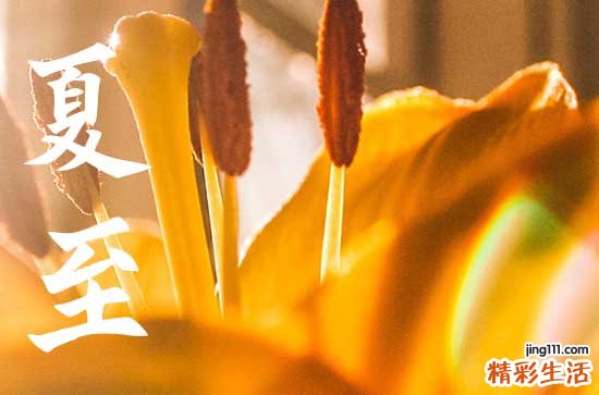 今年夏至是几月几号几点几分2023