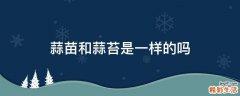 蒜苗和蒜苔是一样的吗