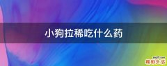 小狗拉稀吃什么药