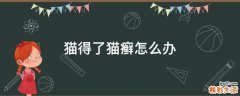 猫得了猫癣怎么办