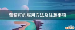 葡萄籽的服用方法及注意事项