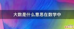 大数是什么意思在数学中