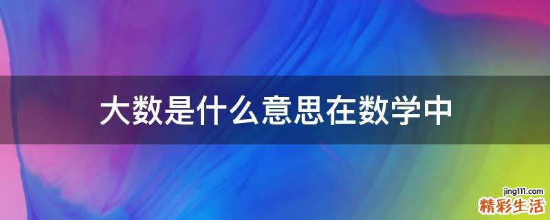 大数是什么意思在数学中