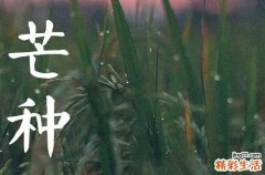 2023年芒种是几月几号农历的