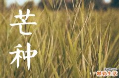 2023年芒种时间几时几分怎么计算