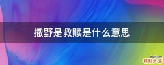 撒野是救赎是什么意思
