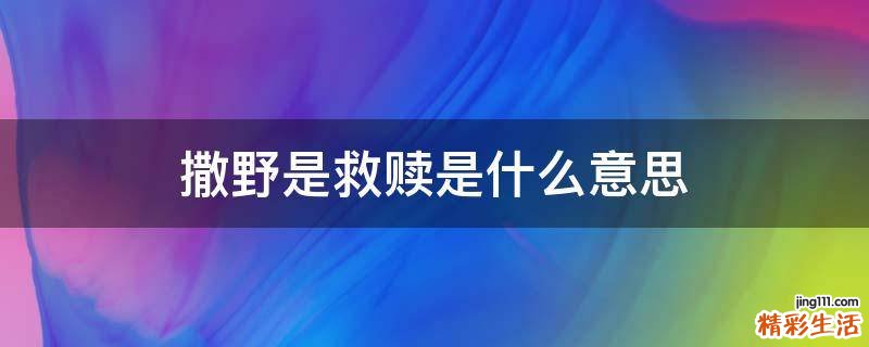撒野是救赎是什么意思