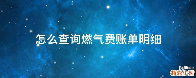 怎么查询燃气费账单明细