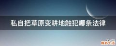 私自把草原变耕地触犯哪条法律