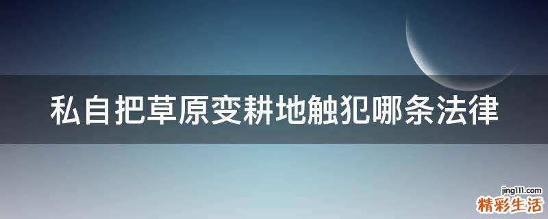 私自把草原变耕地触犯哪条法律