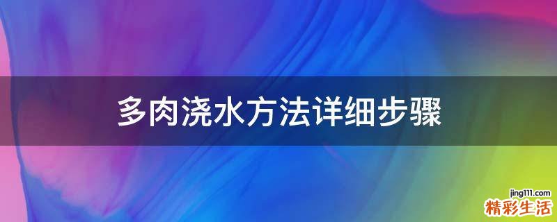 多肉浇水方法详细步骤